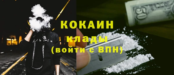 ГАЛЛЮЦИНОГЕННЫЕ ГРИБЫ Арсеньев