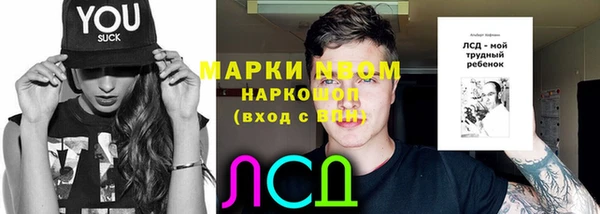 ГАЛЛЮЦИНОГЕННЫЕ ГРИБЫ Арсеньев