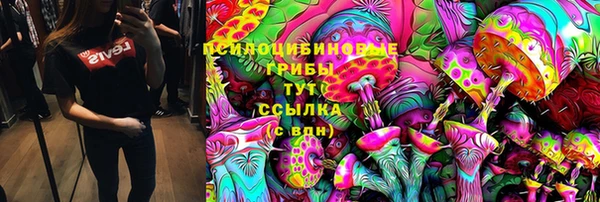 ПСИЛОЦИБИНОВЫЕ ГРИБЫ Армянск