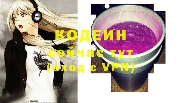 ГАЛЛЮЦИНОГЕННЫЕ ГРИБЫ Арсеньев