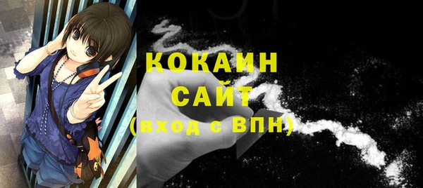 ГАЛЛЮЦИНОГЕННЫЕ ГРИБЫ Арсеньев