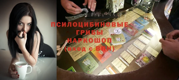 ПСИЛОЦИБИНОВЫЕ ГРИБЫ Армянск