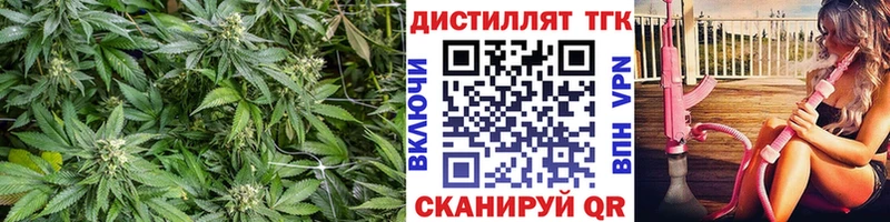 Купить  Сарапул  ТГК гашишное масло 