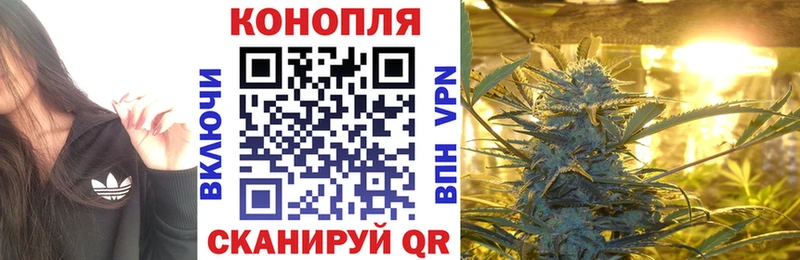 Купить  Сарапул  Бошки марихуана сатива 